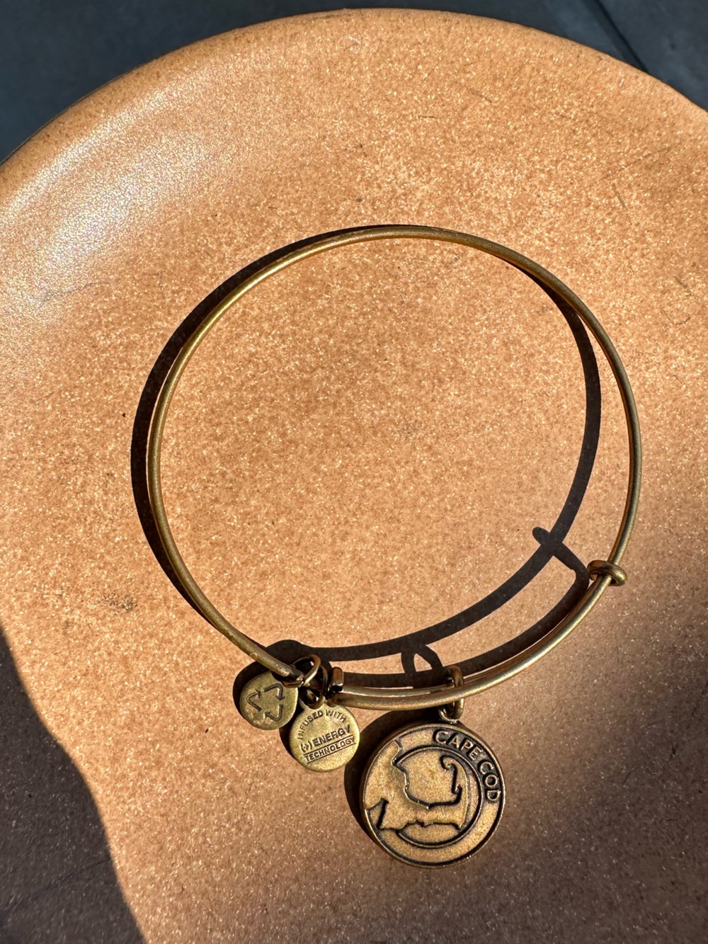 Alex and Ani Gold Tone Cape Cod Charm Bangle